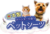 HAKASE AREKKUSU
