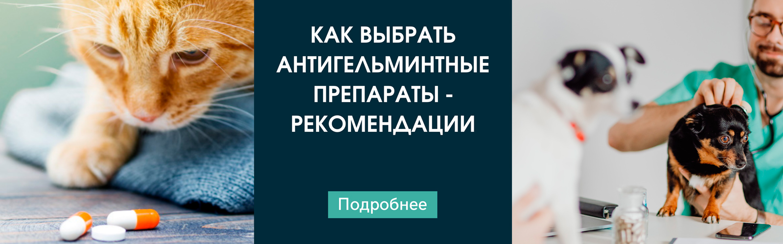 Как выбрать антигельминтные препараты - рекомендации